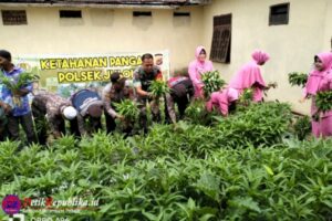 Panen Melimpah, Hasil Kebun Ketahanan Pangan Polsek Julok Dibagikan Kepada Warga