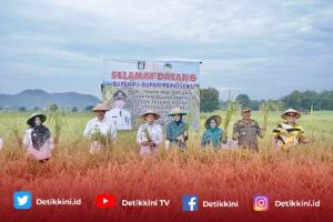 Pj Bupati Targetkan Pringsewu Sebagai Lumbung Pangan Organik