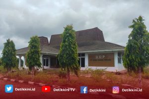 Klaim Panen TBS Dari Hasil Lahan Garapan, Anggota KMS Dipolisikan, Humas PT. DDP Pertanyakan BB TBS di Polsek Pondok Suguh Raib