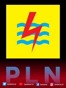 Krisis Listrik di Lumbung Energi: Tamparan Keras Bagi PLN dan Pemerintah