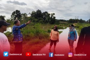 Ela Bersama BPBD Lamtim Meninjau Lokasi Terdampak Banjir