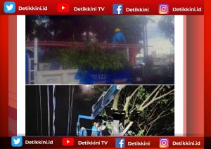 Proaktif PLN Palembang Jaga Keandalan Listrik Tak Kenal Waktu