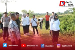 Atasi Konflik Gajah dan Manusia, Bupati Lamtim Akan Bangun TPT