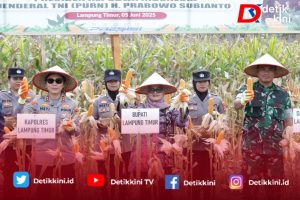 Forkopimda Lampung Timur Kompak Dukung Produksi Jagung Nasional