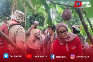 Agroforestri Kakao Lampung Timur Jadi Sorotan Internasional
