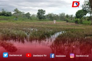 Ahli Waris Laporkan Dugaan Perampasan Tanah Wakaf Masjid Nurul Mukmin ke Polres Lampung Timur