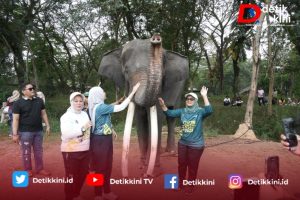 Ela Siti Nuryamah Sambut Baik Komitmen Pemerintah RI di Bidang Konservasi Internasional