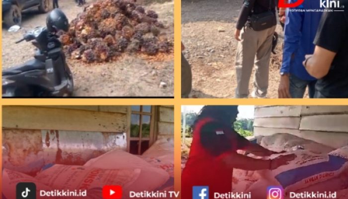 Dugaan Penyalahgunaan Pupuk Subsidi Seret Oknum Anggota DPRD Muara Enim, Polisi Lakukan Penelusuran