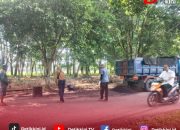 Respons Cepat Pemkab Lampung Timur, Jalan Rusak di Kawasan Pemda Langsung Ditambal