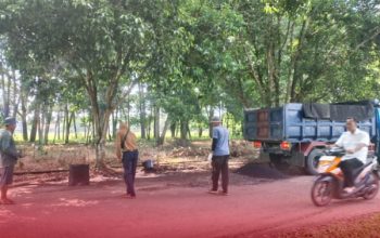 Respons Cepat Pemkab Lampung Timur, Jalan Rusak di Kawasan Pemda Langsung Ditambal