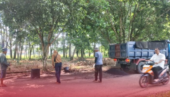 Respons Cepat Pemkab Lampung Timur, Jalan Rusak di Kawasan Pemda Langsung Ditambal
