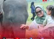 Presiden Prabowo Dukung Pembangunan Pembatas Permanen Atasi Konflik Gajah-Manusia di Way Kambas