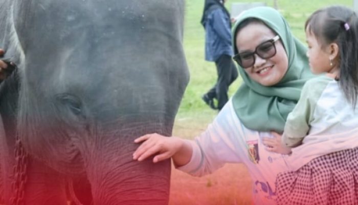 Presiden Prabowo Dukung Pembangunan Pembatas Permanen Atasi Konflik Gajah-Manusia di Way Kambas
