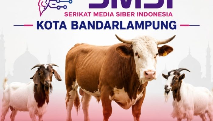 Perkuat Solidaritas, SMSI Bandar Lampung Laksanakan Kurban Iduladha 1447 H