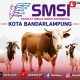 Perkuat Solidaritas, SMSI Bandar Lampung Laksanakan Kurban Iduladha 1447 H