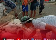 PT Sarana Global Quarry Tebar Kepedulian Lewat Kurban untuk Warga Banjar Agung