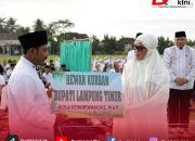 Bupati Lampung Timur Ela Siti Nuryamah Rayakan Idul Adha Bersama Masyarakat Bandar Agung